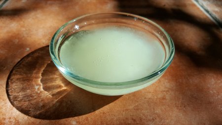 Сингапурская компания по продукции из органического кокосового масла: поиск инвестиций
